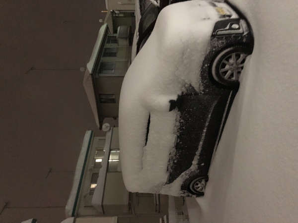 雪に埋もれた管理人の車