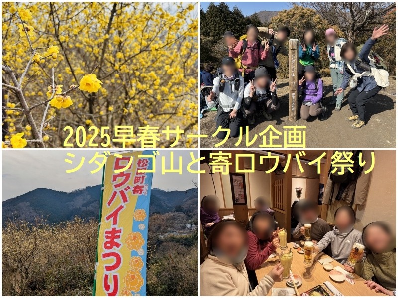 早春サークル企画の模様