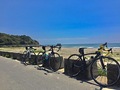 渥美半島サイクリングロード