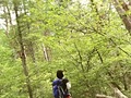 ☆九鬼山☆新緑の季節♪