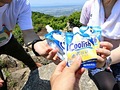 山頂でクーリッシュ乾杯