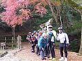 トトロ街道への旅