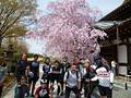 京都将軍塚にて