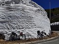 雪の回廊