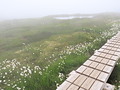 苗場山 【180721】