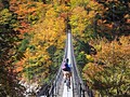 静岡の秘境へ行きました!