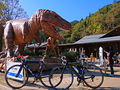 秋の福井へ