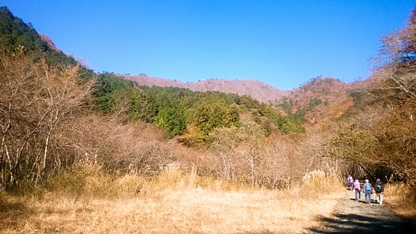 鍋割山登山