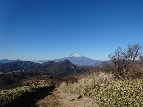 明神～金時山尾根にて