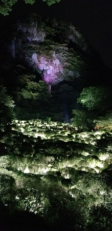 かみさまがすまう森・御船山楽園