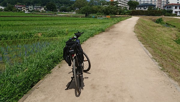 のんびりサイクリング