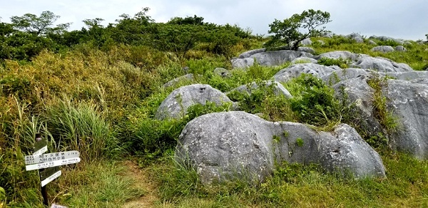 四方台・茶ヶ床園地分岐