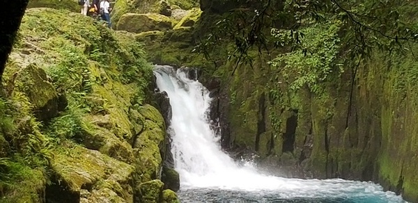 黎明の滝下流