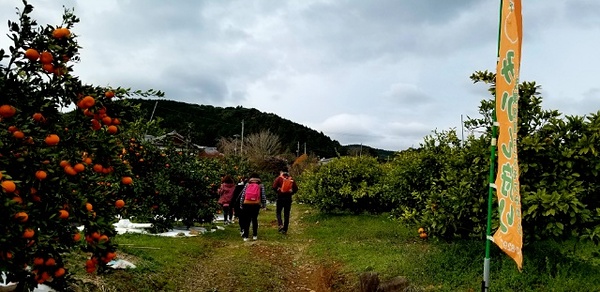 針茂果樹園