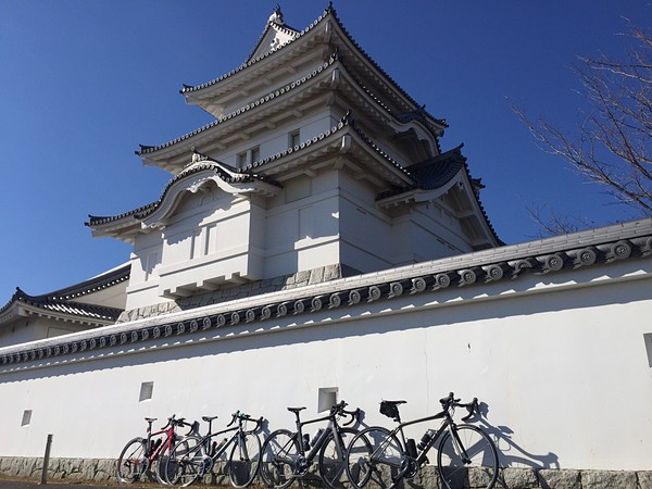 関宿城にて