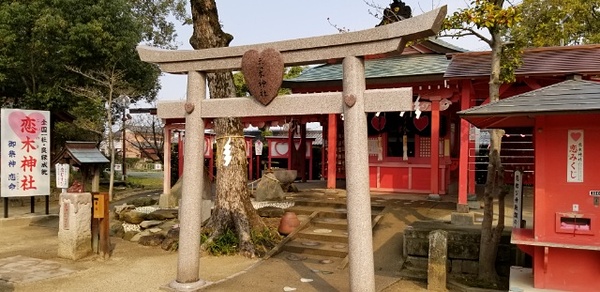 恋木神社鳥居