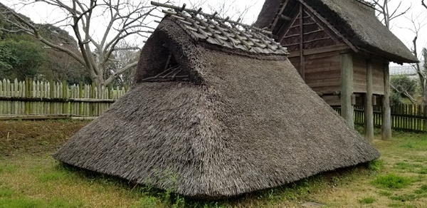 竪穴住居(岩戸山古墳)