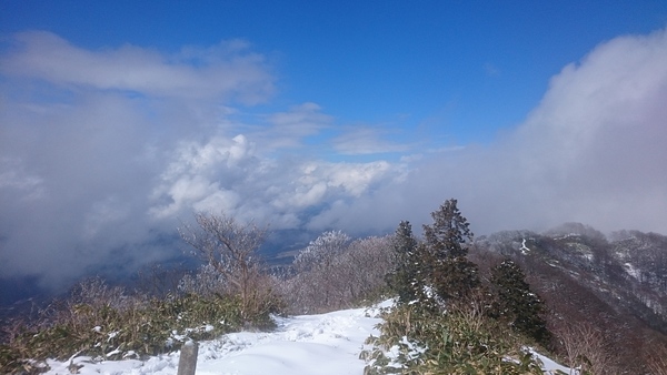 3/24 雪の中の毛無山