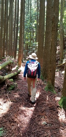 笠置山登山道