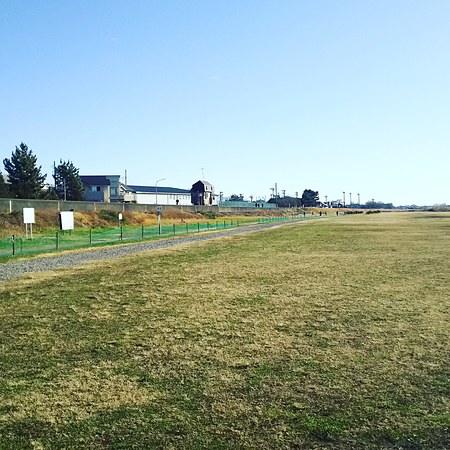 調布多摩川マラソン会場