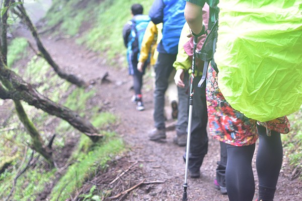新規メンバー募集中 東京の登山チーム 森林浴登山部 スポーツやろうよ