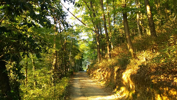 サイクリング旅第７０弾