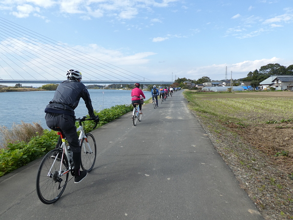 茨城 自転車