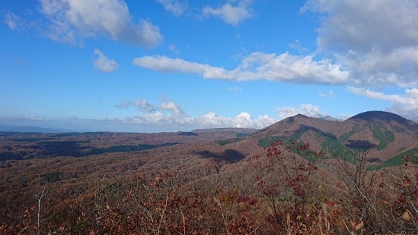 19/11月 上蒜山