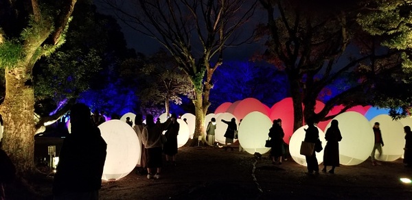 チームラボ福岡城跡光の祭