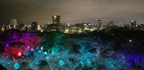 チームラボ福岡城跡光の祭