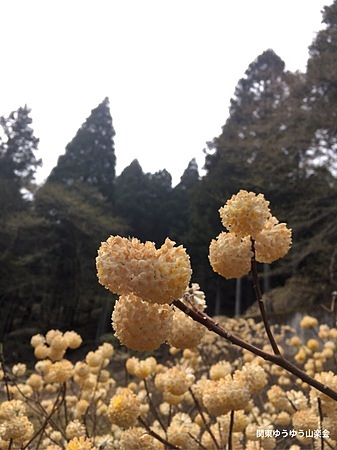 大山三峰山