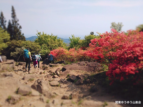 筑波山