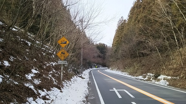 サイクリング旅第74弾【日光】