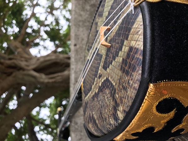 三線🪕とガジュマル🌴