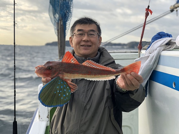 東京湾　タイラバ　ホウボウ