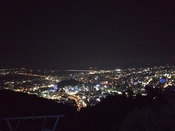 西部公園から眉山までラン