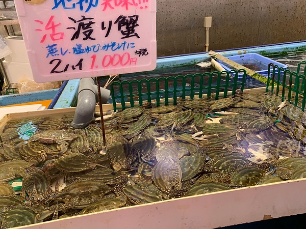 チタイチ　魚太郎