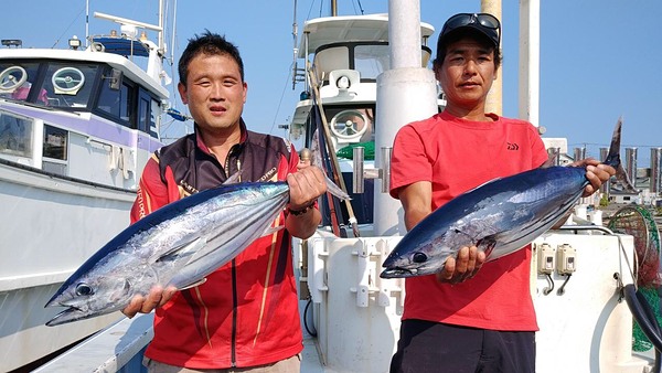 利島、カツオ一本釣り