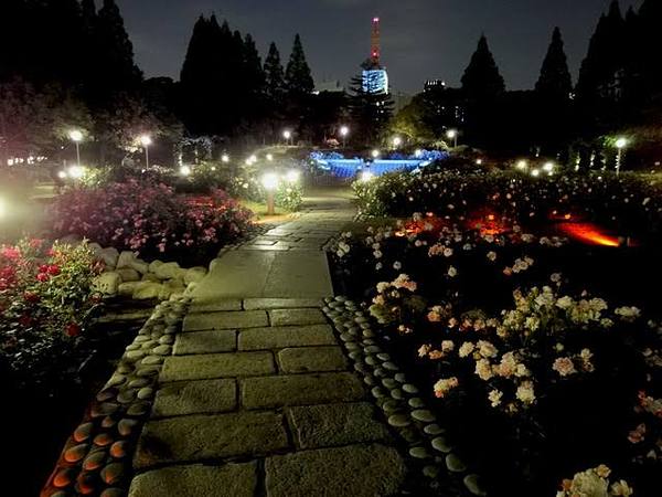 靱公園の雰囲気