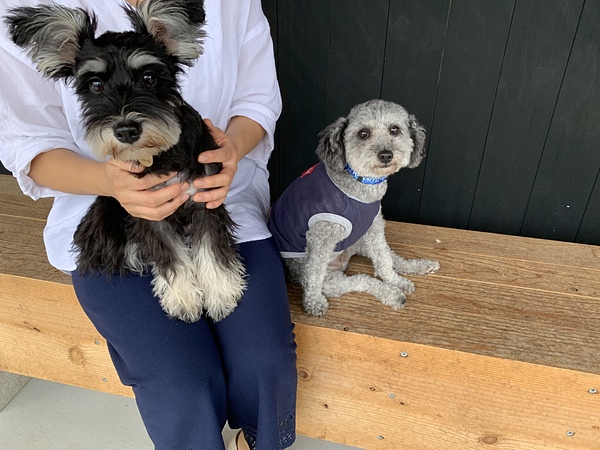 新規メンバー募集中 愛知のイベントチーム 犬友サークル スポーツやろうよ