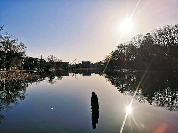 石神井公園