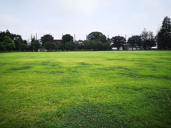 石神井公園