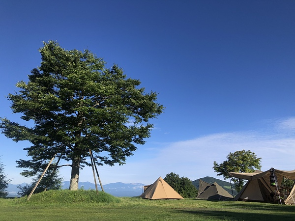 キャンプ楽しみましょう🏕
