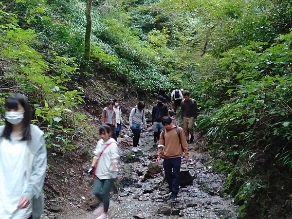 高尾山の自然を満喫