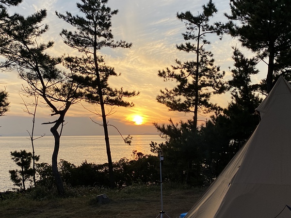 波戸岬キャンプ