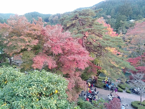 奥多摩の紅葉