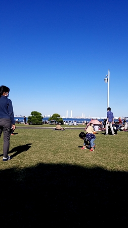 昼間は山下公園を走ります