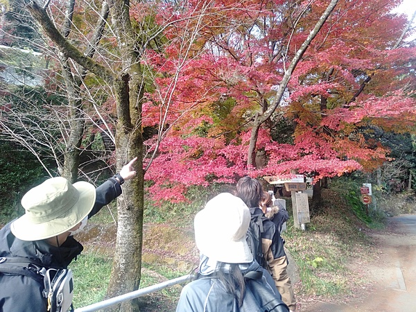 草戸山の登山