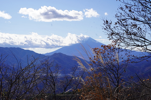 高川山