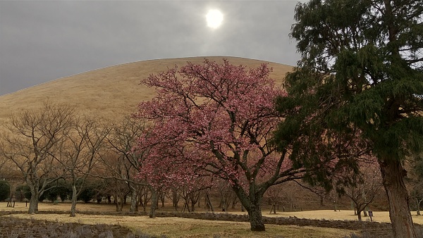 練習場所①   大室山